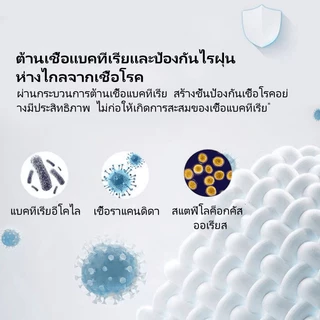 สไตล์ฤดูร้อน เสื่อไหมน้ำแข็ง เสื่อลาเท็กซ์ 3/4/5/6ฟุต กันน้ำ ผ้าให้ความรู้สึกเย็น ทนเหงื่อและระบายอากาศได้