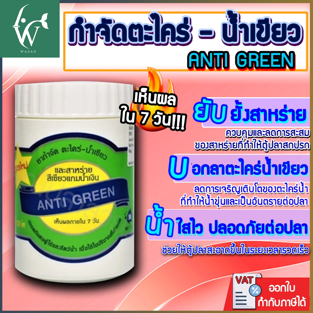 ANTI GREEN กำจัดตะไคร่-น้ำเขียว และสาหร่าย (กระป๋องเขียว สูตรครีม สำหรับบ่อที่มีปลา) ขนาด 200 CC