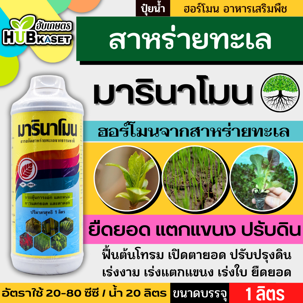 มารินาโมน 1ลิตร (สาหร่ายสกัดทะเล) เร่งงาม ยืดยอด แตกแขนง
