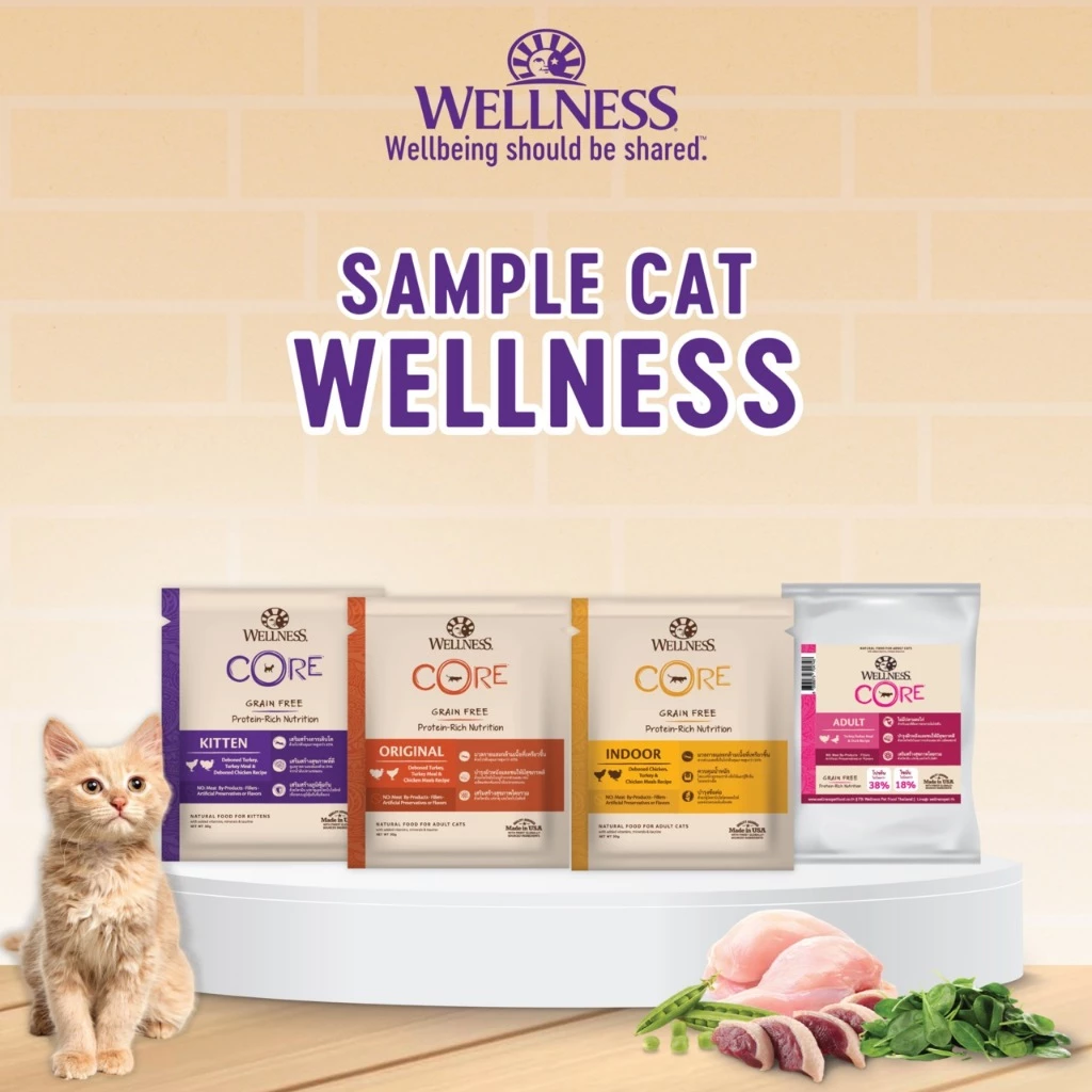 [สินค้าตัวอย่าง] WELLNESS CORE อาหารแมว มีให้เลือกหลายสูตรทุกช่วงวัย (แมวเด็ก - แมวโต)