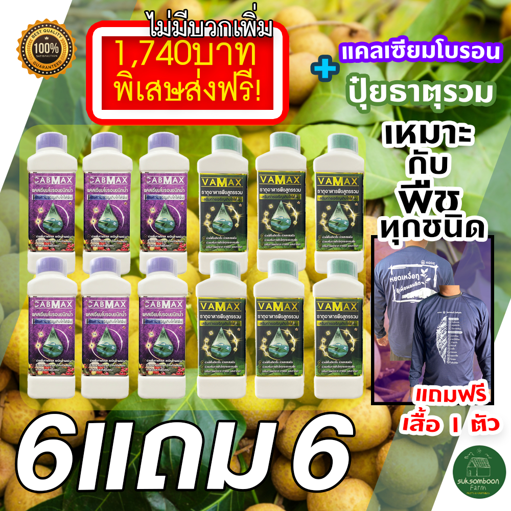 ปุ๋ยน้ำ ยกลัง Vamax Cabmax ธาตุอาหารรวม + แคลเซียมโบรอน (โปรสุดคุ้ม ซื้อ 1 แถม 1 ) แถมฟรีเสื้อ 1 ตัว