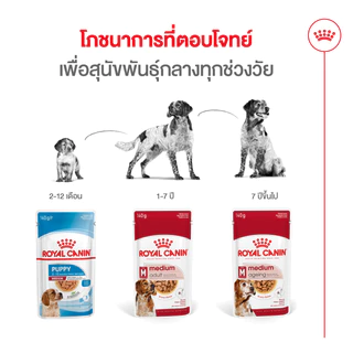 [กล่องใหม่] Royal Canin อาหารเปียกสุนัข พันธุ์กลาง รอยัลคานิน ลูกสุนัข Medium Puppy / Adult / Ageing 10+ ยกกล่อง 10 ซอง