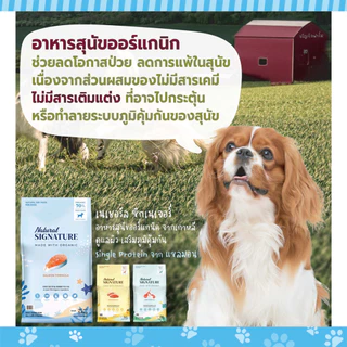 Natural Signature Dog อาหารสุนัข "ออร์แกนิค" จากเกาหลี ขนาด 1.8 kg