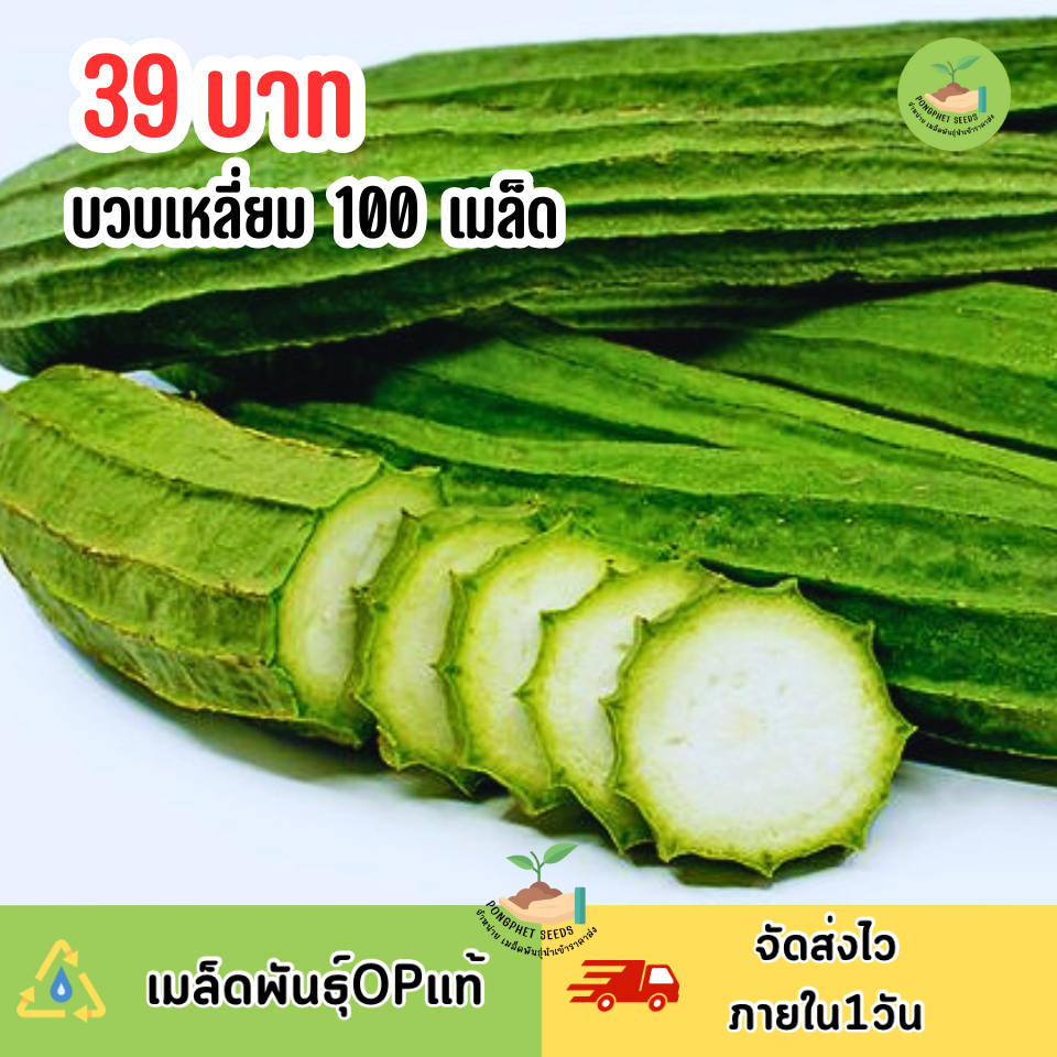 เมล็ดพันธุ์บวบเหลี่ยม 100 เมล็ด