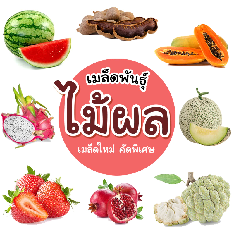 [ติดตามลด 20%] เมล็ดไม้ผล ผลไม้ เมล็ดใหม่คัดพิเศษ แบ่งขาย เหมาะสำหรับบ้านและสวนขนาดเล็ก