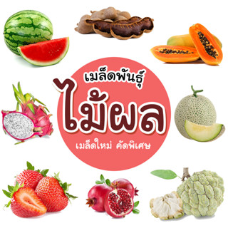 [ติดตามลด 20%] เมล็ดไม้ผล ผลไม้ เมล็ดใหม่คัดพิเศษ แบ่งขาย เห…