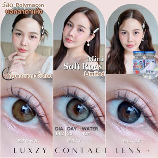 Limited เลนส์พรีเมียม By Luxzy Lens Mini Soft Rose เลนส์มินิ…