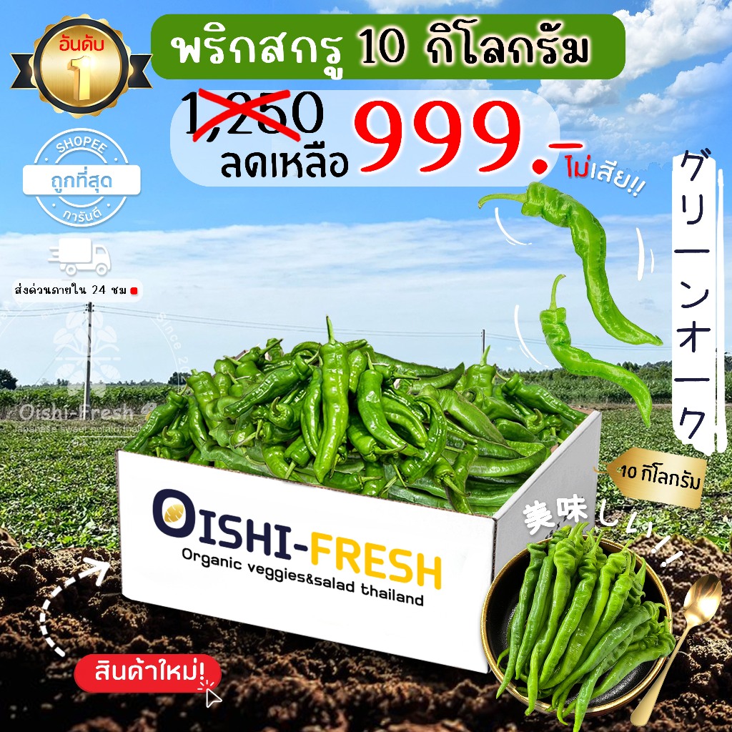 🚨ส่งด่วน🥢ร้านอาหาร🌶️พริกสกรู ปลอดสารพิษ 10 กก. รสชาติกรอบ สด ใหม่ ใยอาหารสูง หวานออร์แกนิด เคลมได้ 1-2 วัน