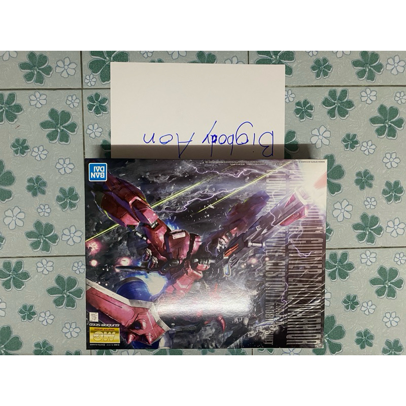 MG Zaku Gunner Warrior Lunamaria