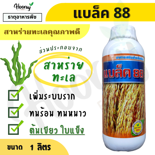 แบล็ค 88 1 ลิตร ( สาหร่ายทะเล ) สารอาหารพืช ต้นเขียว ใบแข็ง ต้นแกร่ง รวงดี