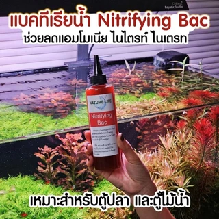 แบคทีเรียน้ำ Nitrifying Bac ย่อยสลายของเสีย ปรับสมดุลของระบบนิเวศ ทำให้คุณภาพน้ำดีขึ้น แบรนด์ Nature Life | Marangmod