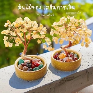 ต้นไม้ หยกแท้ ต้นไม้มงคล (ส่งด่วน มีกล่อง) Office สายมู 🌷💯ตั้งโต๊ะ เสริมการงาน ไผ่กวนอิม ตั้งโต๊ะทำงาน Luxuary แต่งบ้าน
