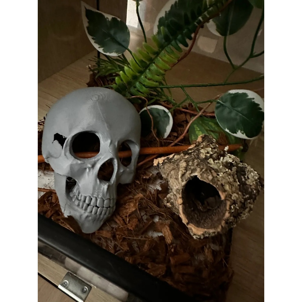 🔥[ถูกมาก]🔥Reptile Hide Box ถ้ำซ่อนตัวสำหรับสัตว์เลื้อยคลาน