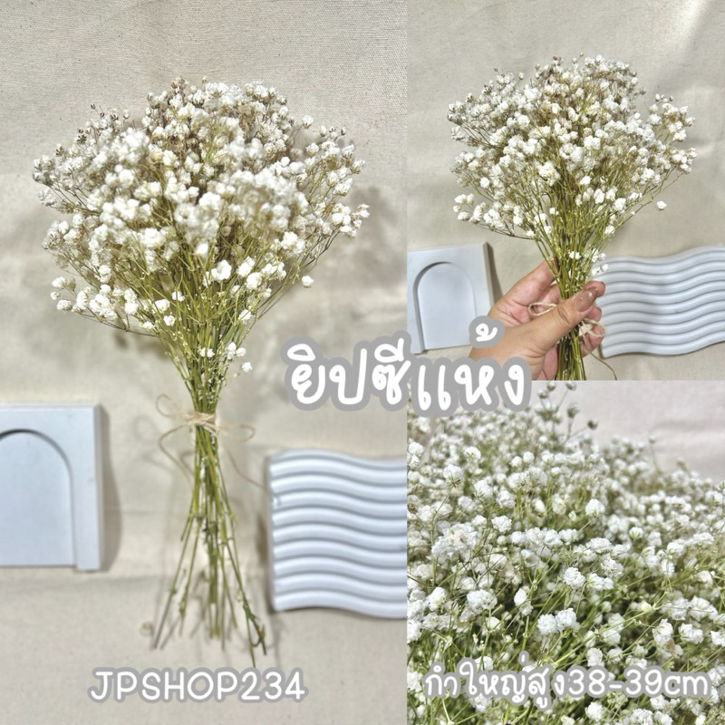 Gypsophila ยิปโซแห้ง ดอกไม้แห้ง ดอกยิปโซตากแห้งกำใหญ่ดอกฟู (F2) ราคา ถูกที่สุด ดีลบีเคเค