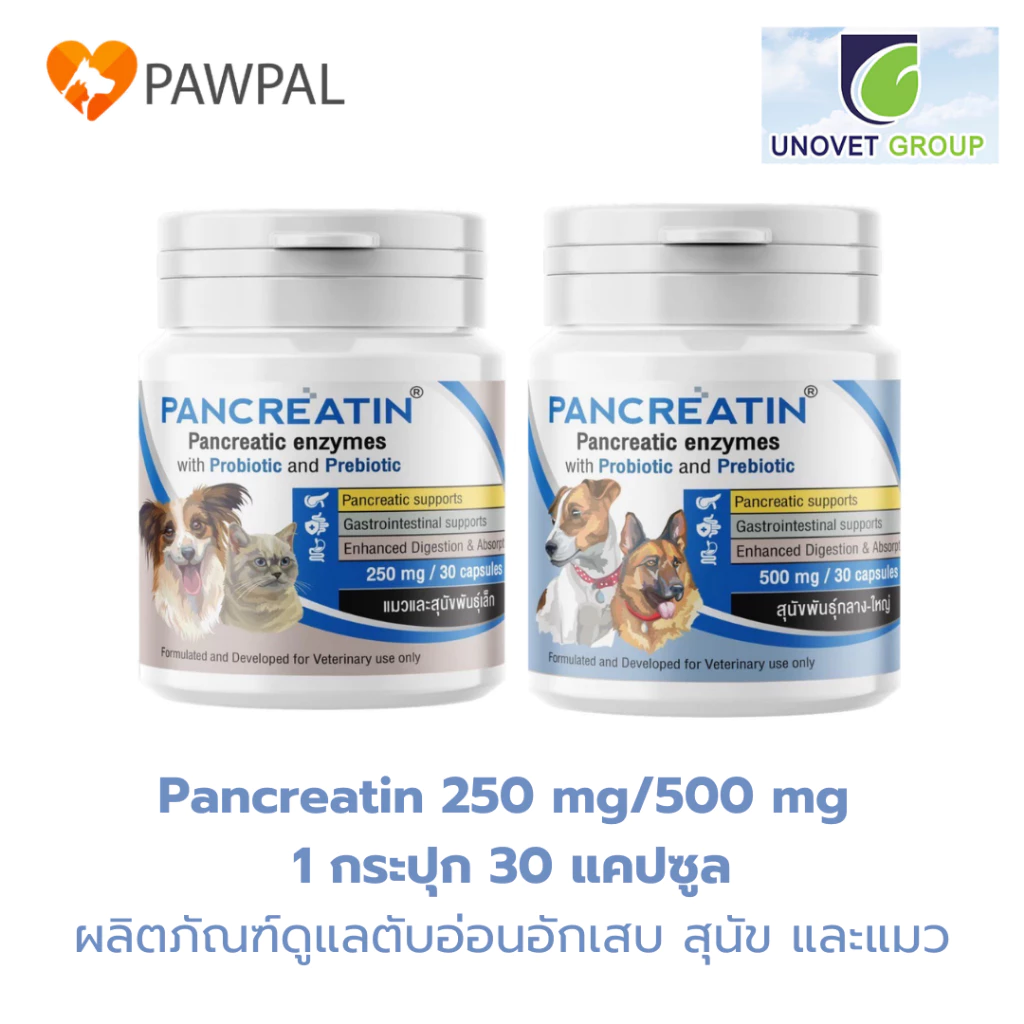 Pancreatin 250 mg 500 mg (1 กระปุก 30 แคปซูล) 🔥Exp.2028 เอนไซม์ช่วยย่อย ตับอ่อนอักเสบ สำหรับ สุนัข แมว