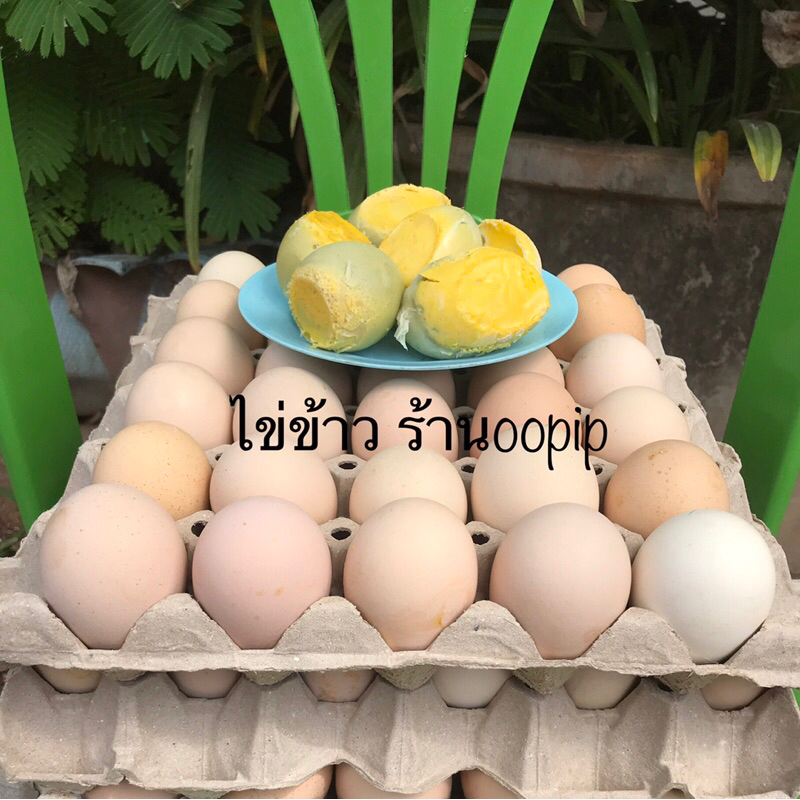 ไข่ข้าว 1แผง 30ฟอง ไข่ข้าวเขย่านึ่งสุกพร้อมทาน ร้านoopip