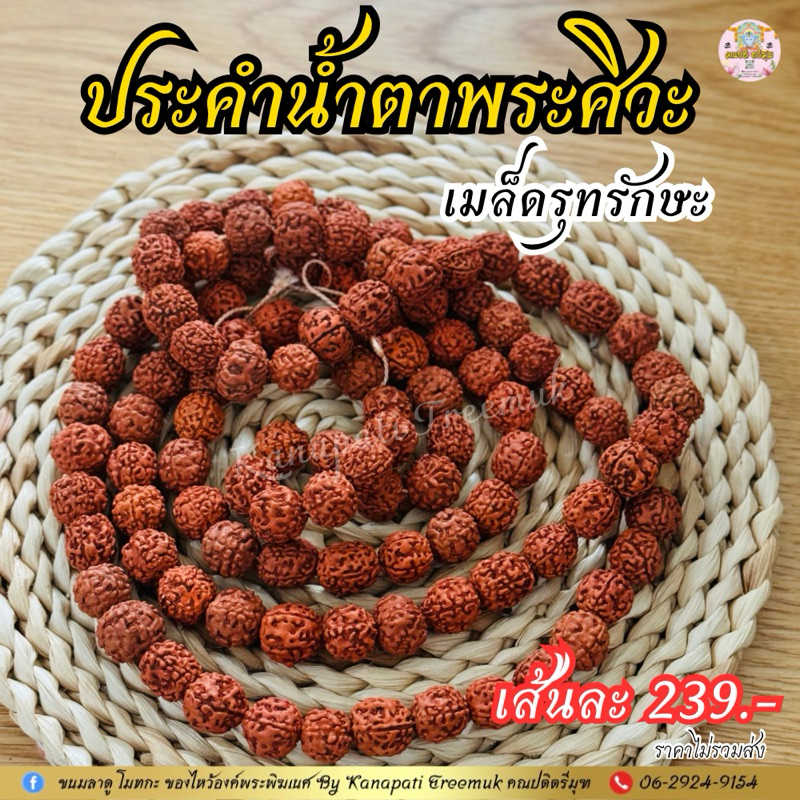 ประคำรุทรักษะ 108เมล็ด น้ำตาพระศิวะ นำความศักดิ์สิทธิ์ ความสำเร็จ ชีวิตรุ่งเรือง ราบรื่น📿สินค้าเป็นงานนำเข้าจากอินเดีย🇮🇳