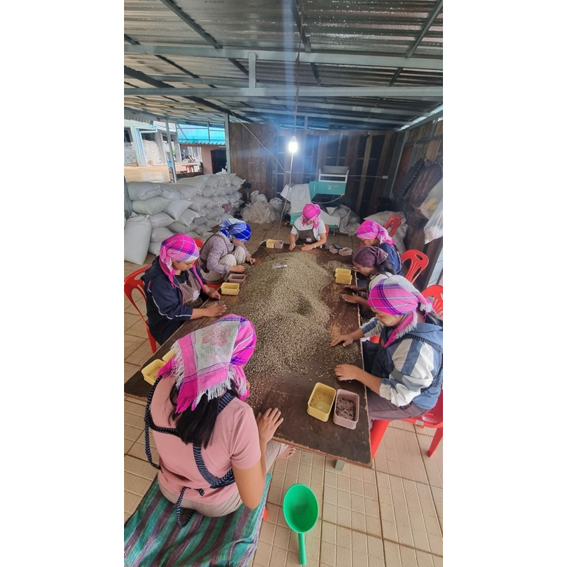 เมล็ดกาแฟดอยช้าง  ลดต้นทุนร้านค้า (ขนาดบรรจุ 5 kg. ) - รูปที่ 4