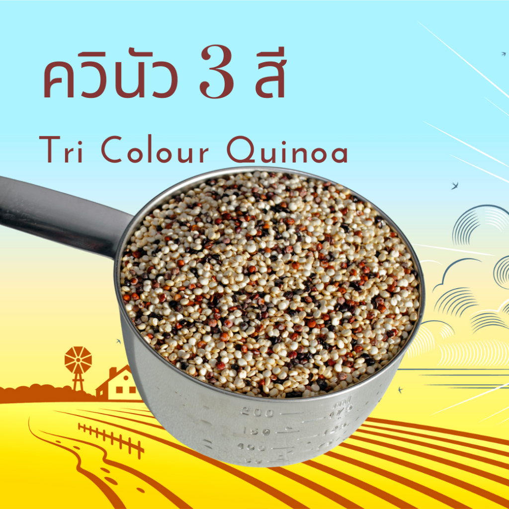 ควินัว 3 สี ออร์กานิค  Organic Tri Colour Quinoa