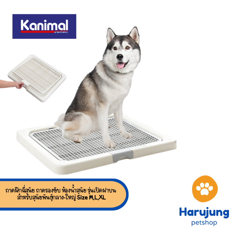 Kanimal Dog Toilet ถาดฝึกฉี่สุนัข ถาดรองซับ ห้องน้ำสุนัข รุ่นเปิดฝาบน สำหรับสุนัขพันธุ์กลาง-ใหญ่ Size M,L,XL