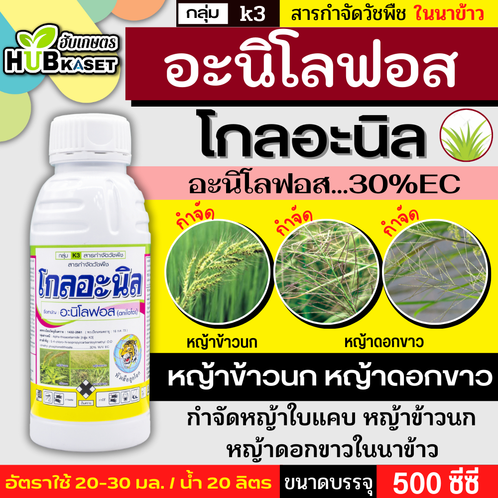 โกลอะนิล 500ซีซี (อะนิโลฟอส) ใช้ได้ทั้งก่อนและหลังวัชพืชงอกคุมวัชพืชในนาหว่านน้ำตม ทั้งใบแคบ ใบกว้างและกก