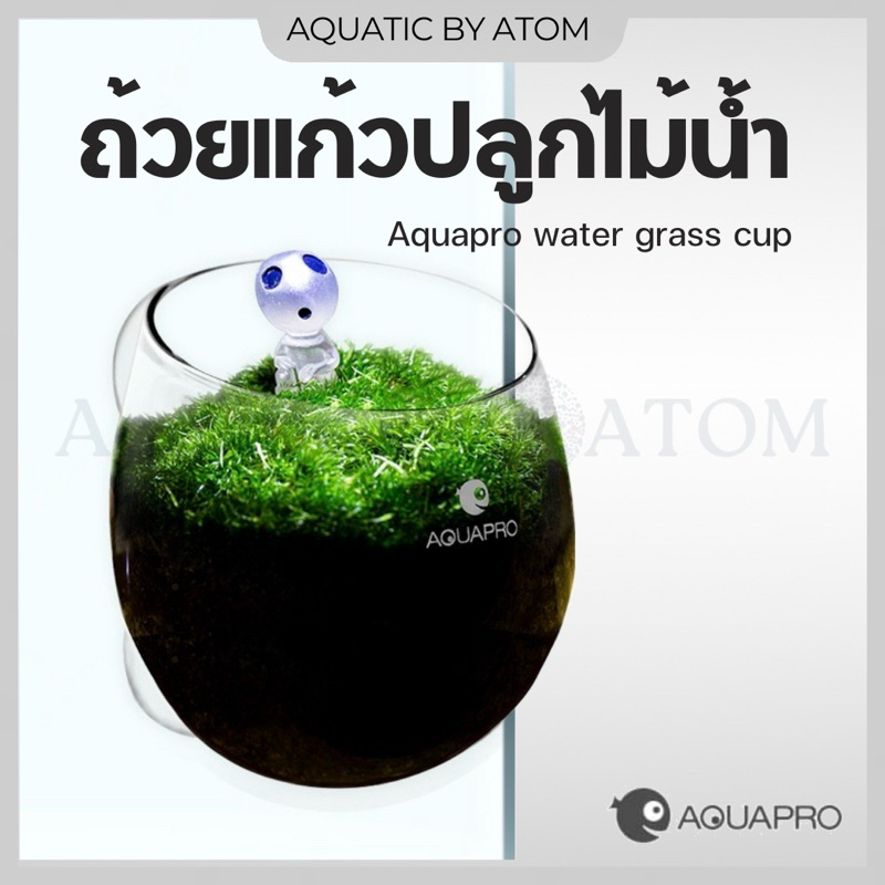 (พร้อมส่ง) ถ้วยแก้วปลูกไม้น้ำ Aquapro water grass cup ถ้วยแก้วเลี้ยงไม้น้ำ ถ้วยปลูกไม้น้ำ