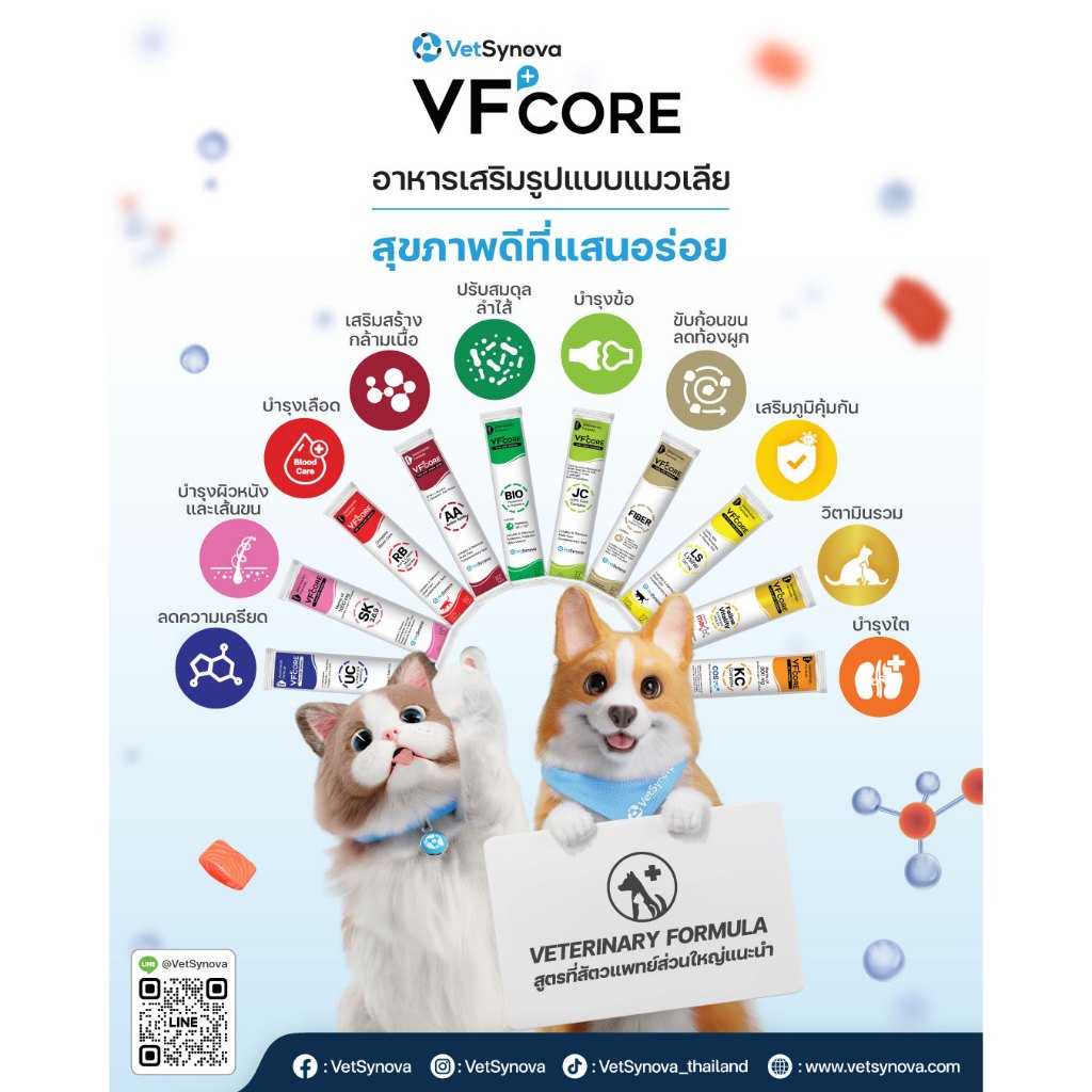 VFcore แบ่งขาย 1 ซอง อาหารเสริมแมว ขนมแมวเลียแบบซอง