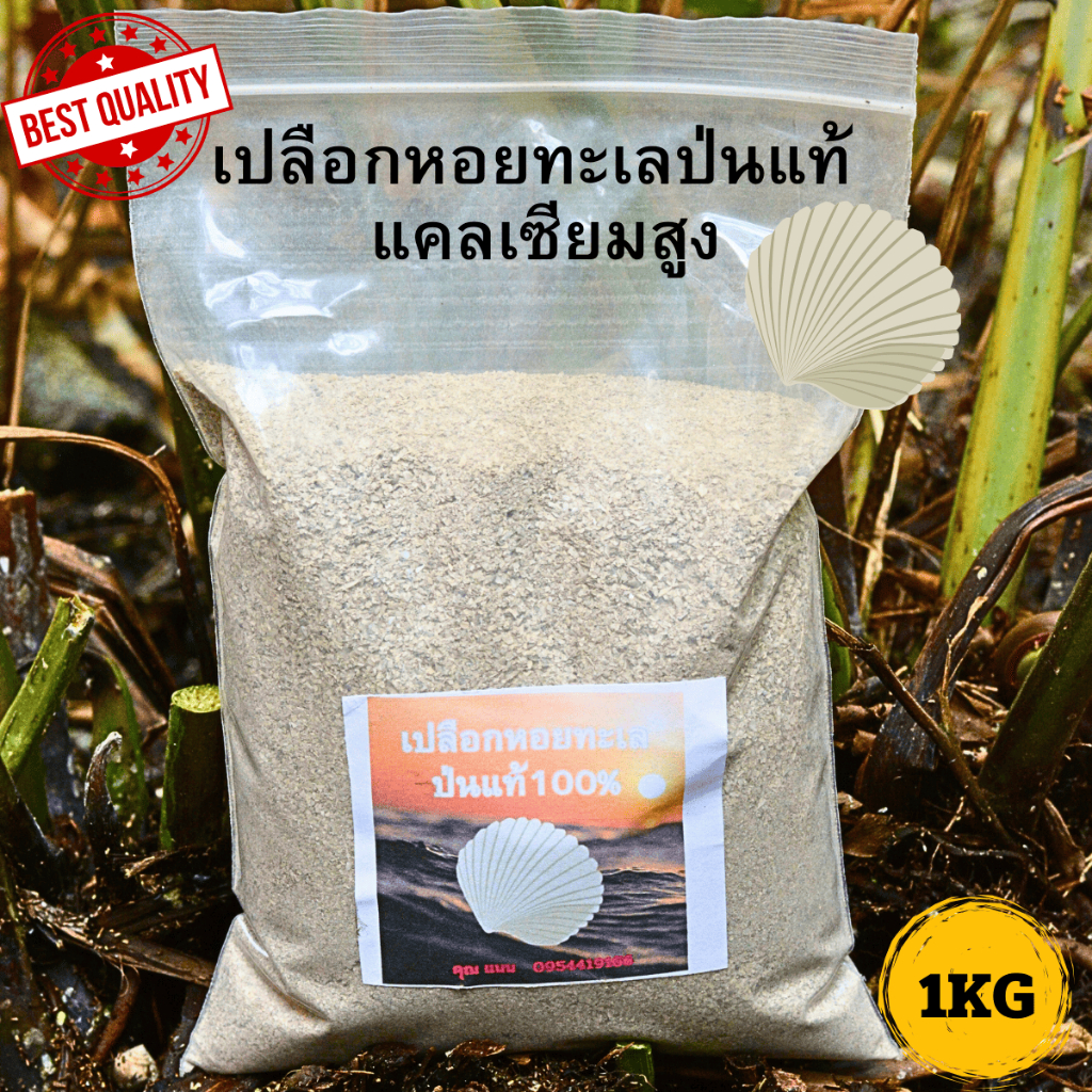 เปลือกหอยป่น เปลือกหอยกระซ่าบด สดจากทะเล แคลเซียมสูง รับประกันของแท้100% บรรจุ1กิโลกรัม