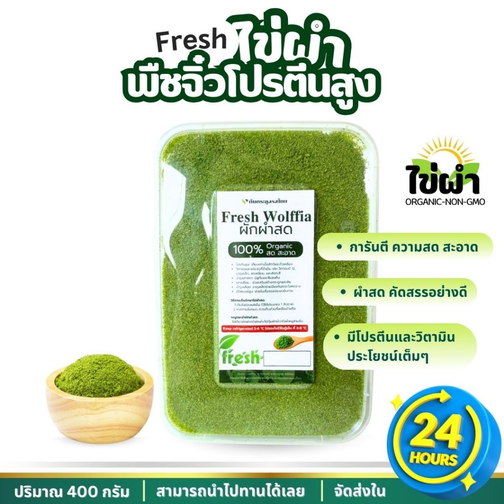 ผักผำ ไข่ผำสด ส่งเย็นไม่เหม็น พร้อมทาน ไม่ต้องล้างซ้ำ จัดส่งภายใน 24 ชม.