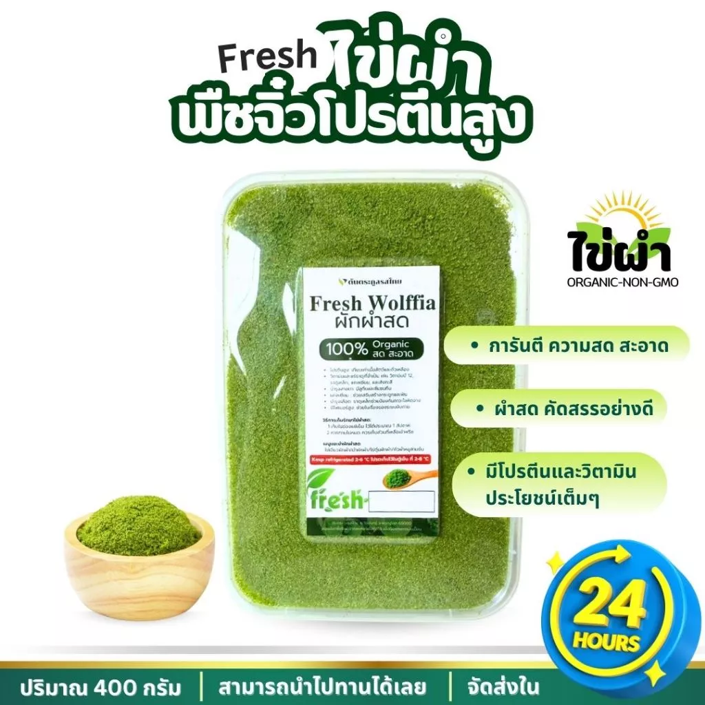 ผักผำ ไข่ผำสด ส่งเย็นไม่เหม็น พร้อมทาน ไม่ต้องล้างซ้ำ จัดส่งภายใน 24 ชม.