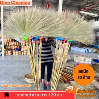 ไม้กวาดดอกหญ้า ด้ามไม้ยาว 120 ซม. ถักทอมือ รุ่นหนา ขนแน่น ทากาว ราคาส่ง (สินค้าพร้อมส่ง)