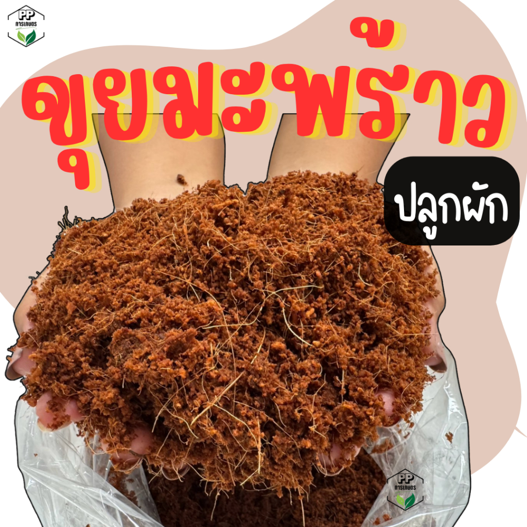 ขุยมะพร้าว ปลูกผัก ขุยมะพร้าว (*เนื้อละเอียด*) ปลูกผักไฮโดรโปนิกส์ ขุยมะพร้าวเพาะกล้า ตอนกิ่ง ปักชำ