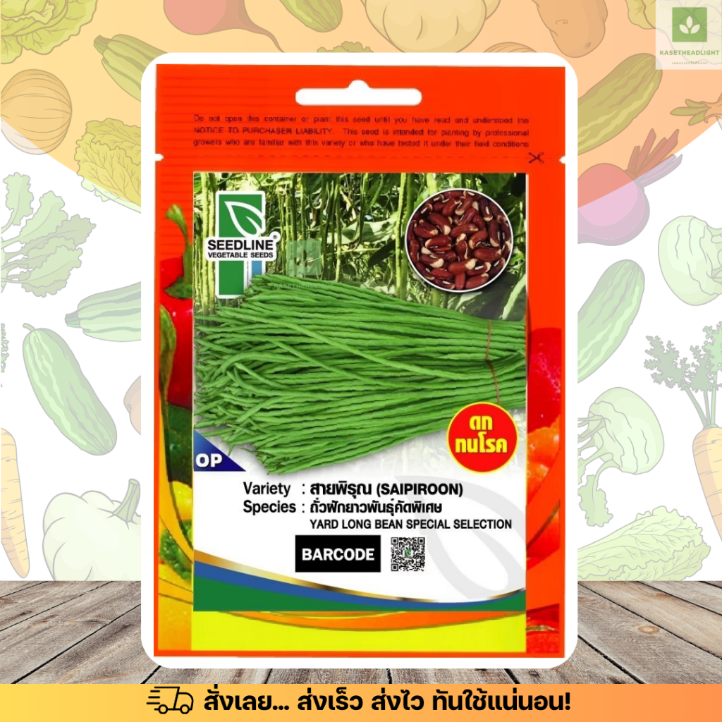SL ถั่วฝักยาว พันธุ์คัดพิเศษ สายพิรุณ เมล็ดพันธุ์ถั่วฝักยาว Yard long bean