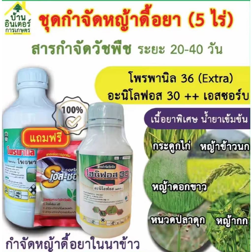 สารกำจัดหญ้ากลุ่มใหม โพรพานิล36%บวกโฟนิฟอส แถมฟรีเอสซอร์บ ฆ่าหญ้าข้าวนก ลิเกดื้อยา พุ่มพวง หางหมา กระดูกไก่ สลาง