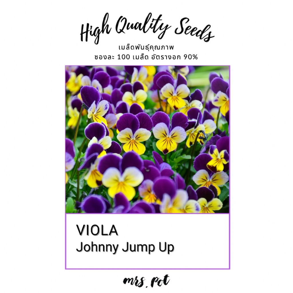 เมล็ดดอกไม้กินได้ วิโอล่า (Viola) Johnny Jump Up บรรจุ 100 เมล็ด รหัส112