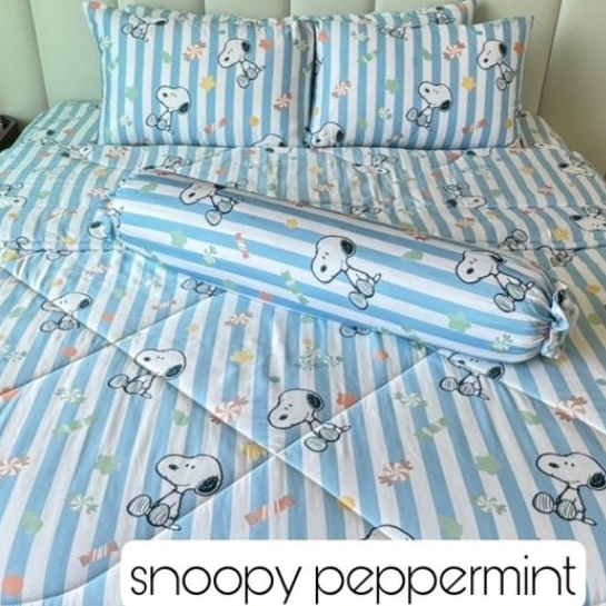 ปลอกหมอน ปลอกหมอนหนุน ปลอกหมอนข้าง เนื้อผ้า Bamboo 1000  เส้น ลายลิขสิทธิ์ snoopy และ sesame street และลายทั่วไป