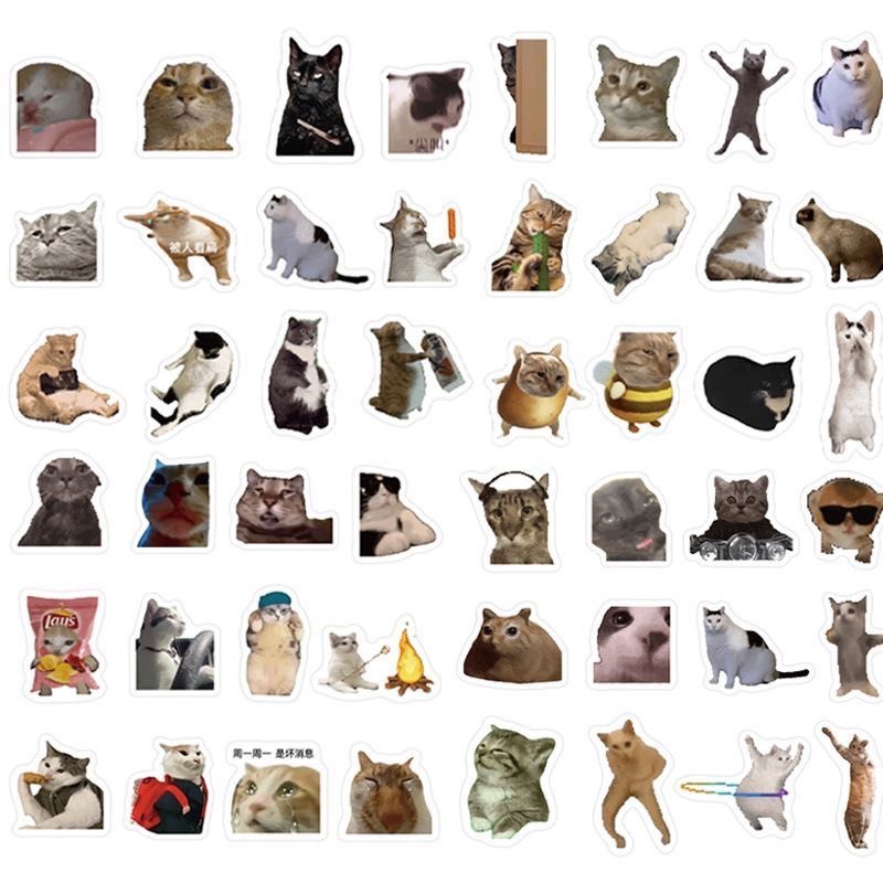 พร้อมส่ง สติกเกอร์มีมแมว มีมแมวตลก Funny cat meme sticker ไว้แปะเคส สมุด กระเป่า สติกเกอร์ตลก 52018 ราคา ถูกที่สุด ดีลบีเคเค แกลเลอรีภาพที่ 9