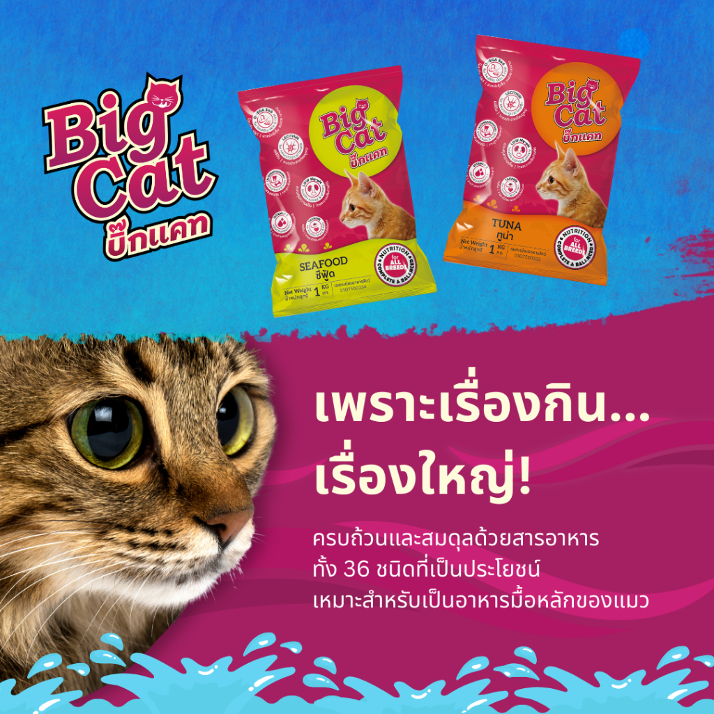 บิ๊กแคท (7กก) BIG CAT อาหารแมวโตโภชนาการครบถ้วน ไม่เค็ม