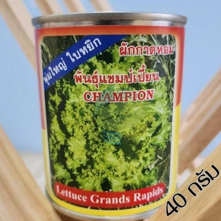 เมล็ดพันธุ์ผัก โหระพา คะน้าฮ่องกง กะเพรา เขียวน้อย คะน้าเห็ดหอม คะน้า แมงลัก ขึ้นฉ่าย ผักบุ้ง ผักกาดหอม กวางตุ้ง ผักชี