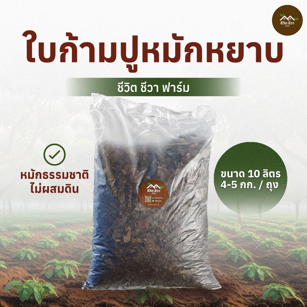 ใบก้ามปูหมักหยาบ 10 ลิตร หมักใต้ต้น ไม่มีดินผสม ไนโตรเจนสูง