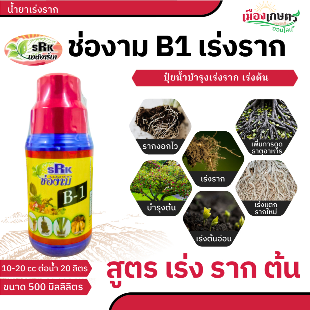 ช่องาม B1 ขนาด 500 cc บี1 ยา เร่งราก สาร บำรุงราก ของแท้ 100% เพิ่มการ แตกราก ใหม่ ให้พืชเจริญเติบโตแข็งแรง ราก