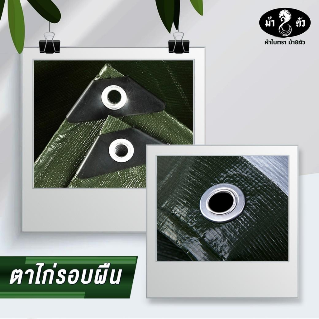 Thumbnail 8