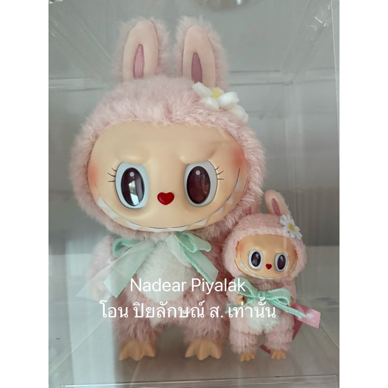 Momoko v.1 (นอนตู้ )