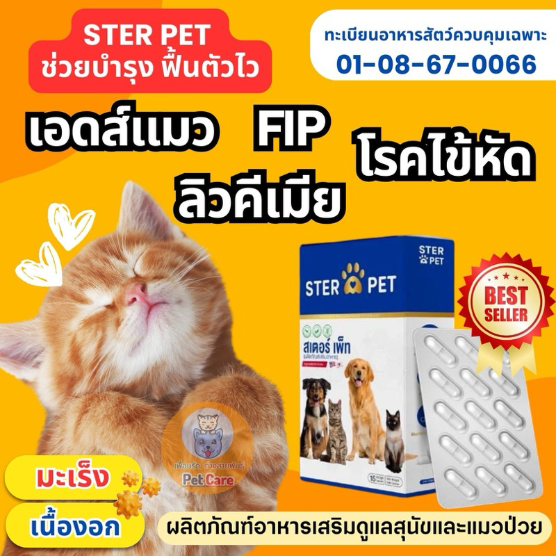 ของแท้!! STER PET ดูแลน้องแมว ลิวคีเมีย FIP ก้อนเนื้อ เสริมภูมิ น้องได้ดี ( 15 แคปซูล )