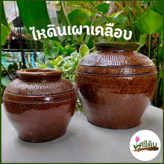 ไหดินเผา 2 ขนาด เคลือบเงา โอ่งดินเผา ใส่ของหมักดอง ใส่เหรียญ…