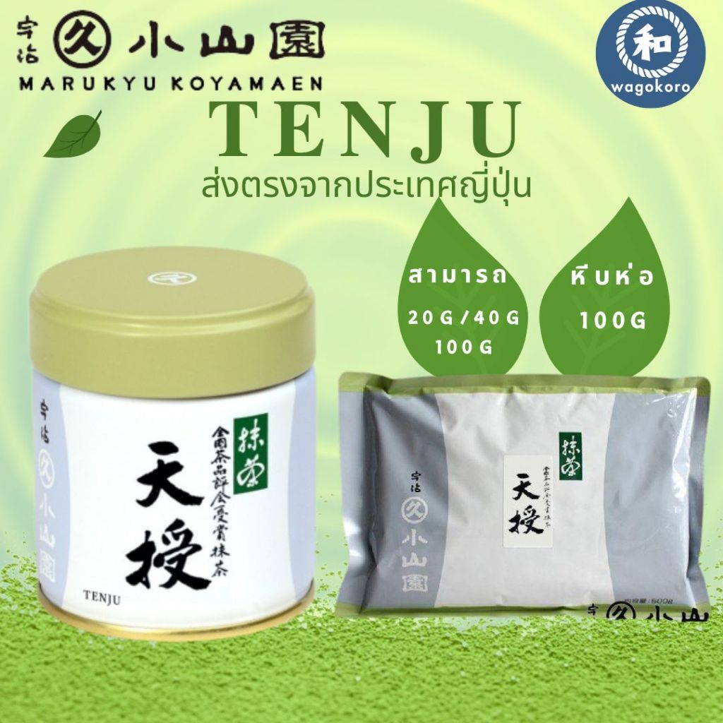 มัทฉะ Marukyu Koyamaen Uji Matcha TENJU / 20g & 40g 【ส่งตรงจากญี่ปุ่น】