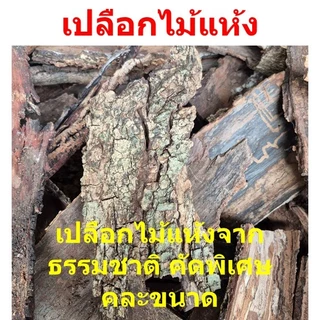 เปลือกไม้แห้ง คัดพิเศษ คละขนาด คละรูปแบบ สำหรับ Isopod หรือสัตว์ Exotic