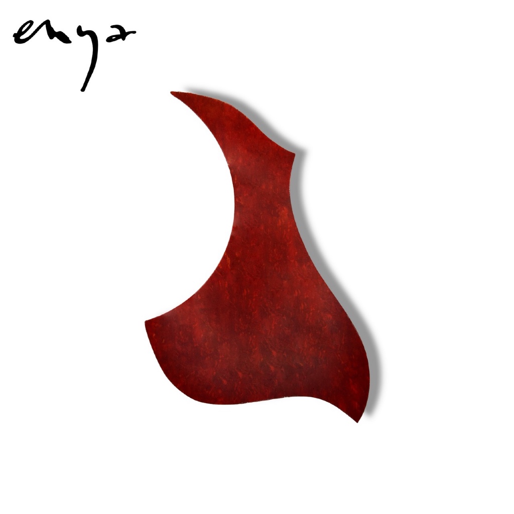 ปิ๊กการ์ด (Pickguard) ป้องกันรอยขีดข่วย