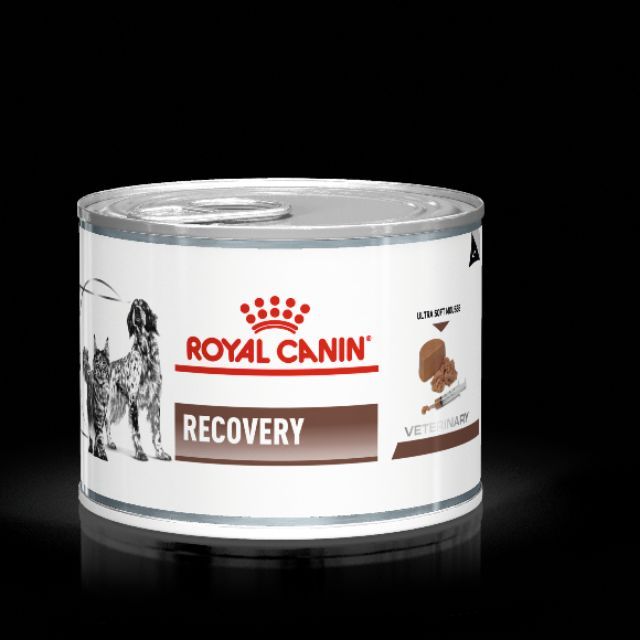 Royal Canin Recovery 195gแพ็คเกจใหม่!!! อาหารสัตว์ป่วย หรือพักฟื้น สุนัข และแมว 1 กระป๋อง