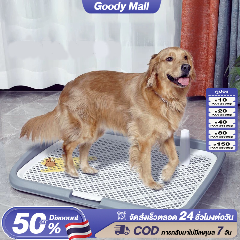 Goody ห้องน้ำสุนัขขนาดใหญ่ 2 ชั้น ขอบสูงกันกระเด็น พร้อมเสาเล็ง ถาดรองฉี่สุนัข ห้องน้ำสุนัข ที่รองฉี่